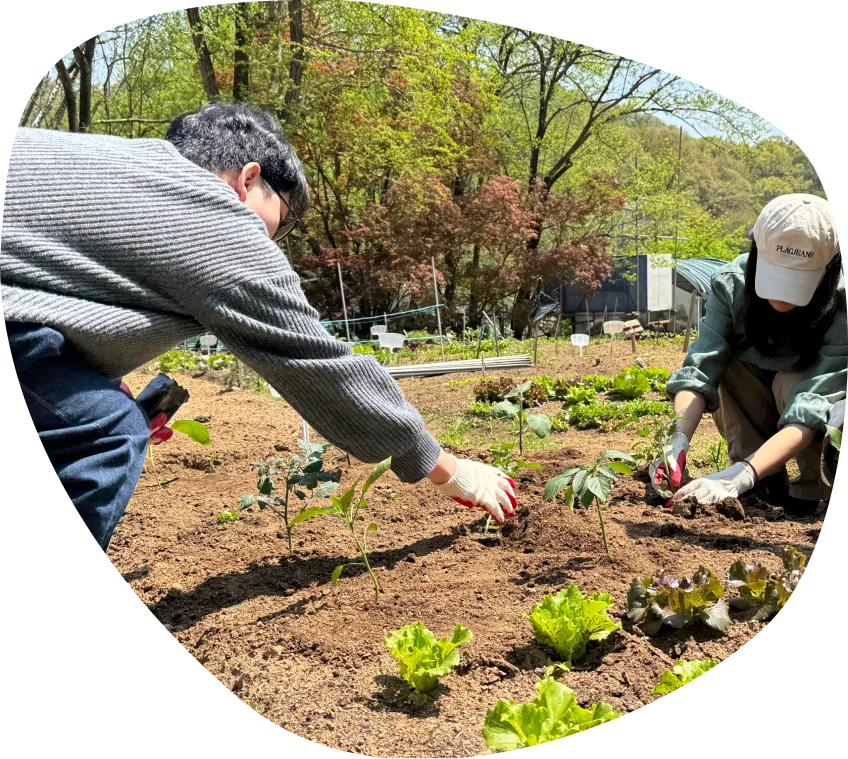 지역 동아리 텃밭·요리 활동